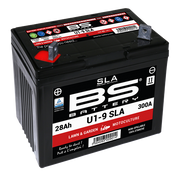 BS Battery SLA_U1-9 12N24-4A