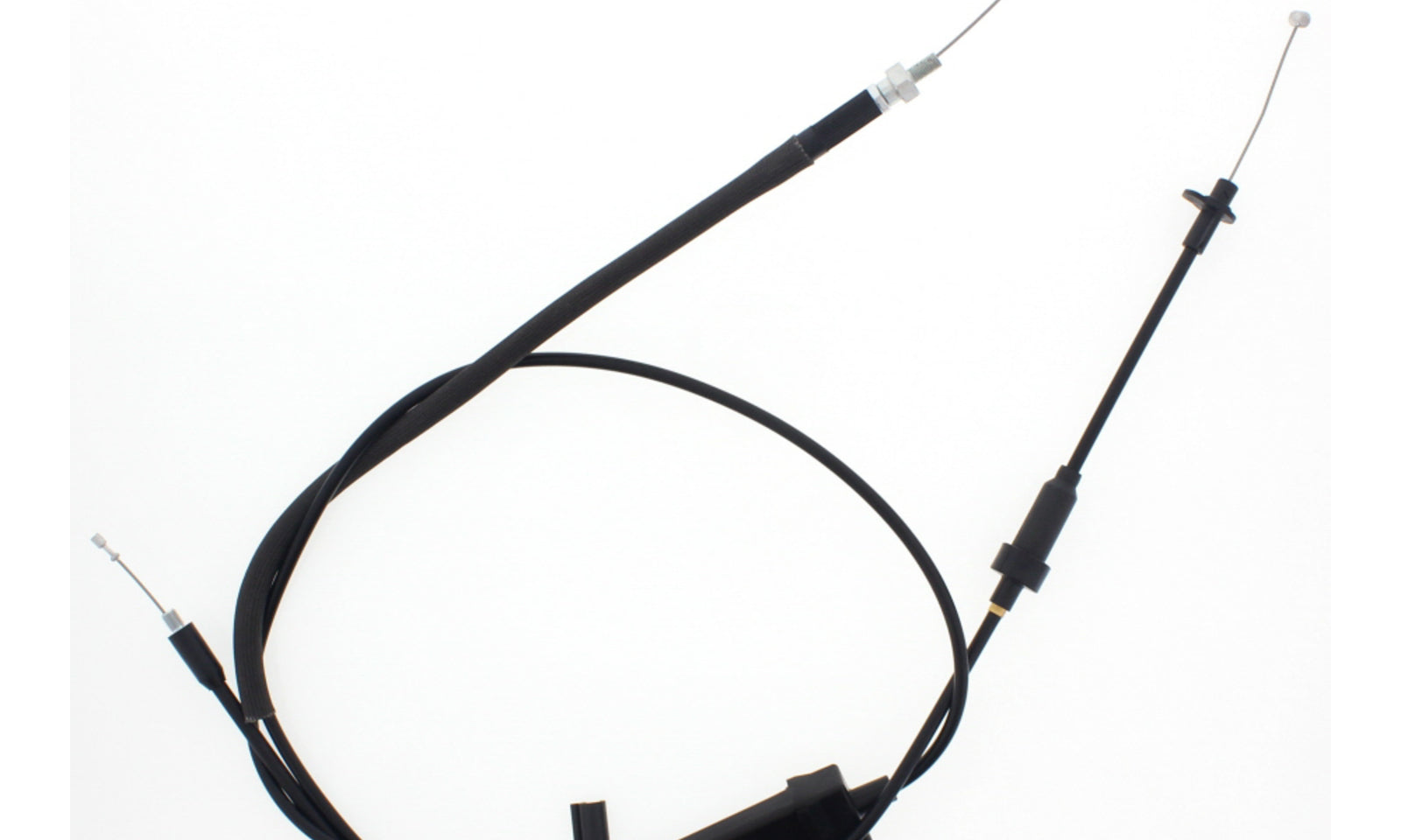 AB451160.JPG