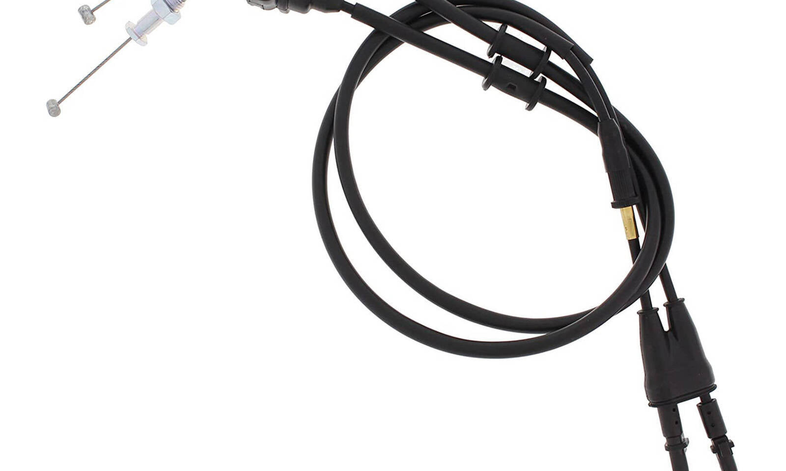 AB451251.JPG