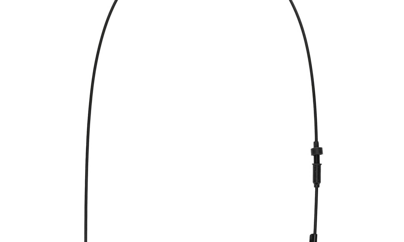 AB451253.JPG