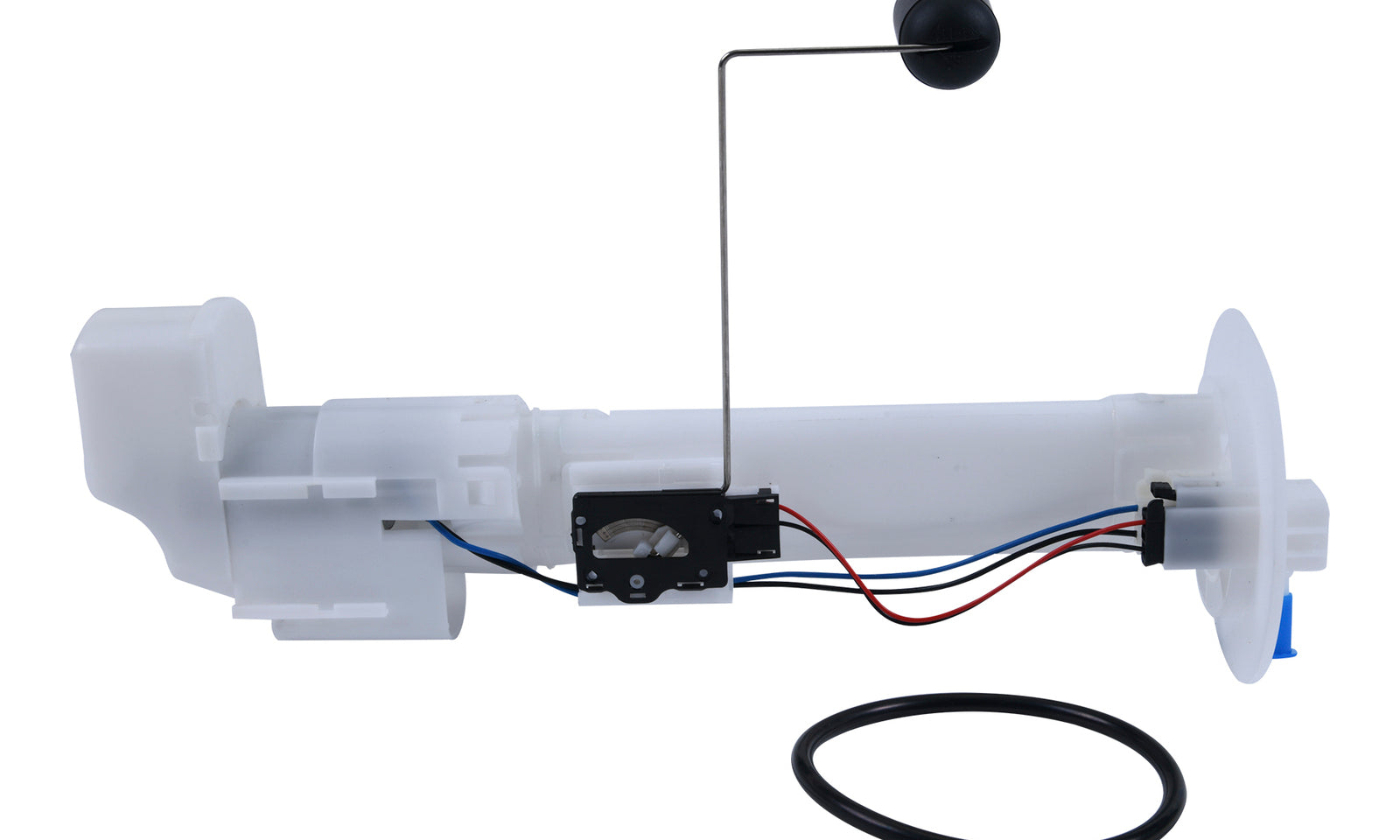 AB471031.JPG