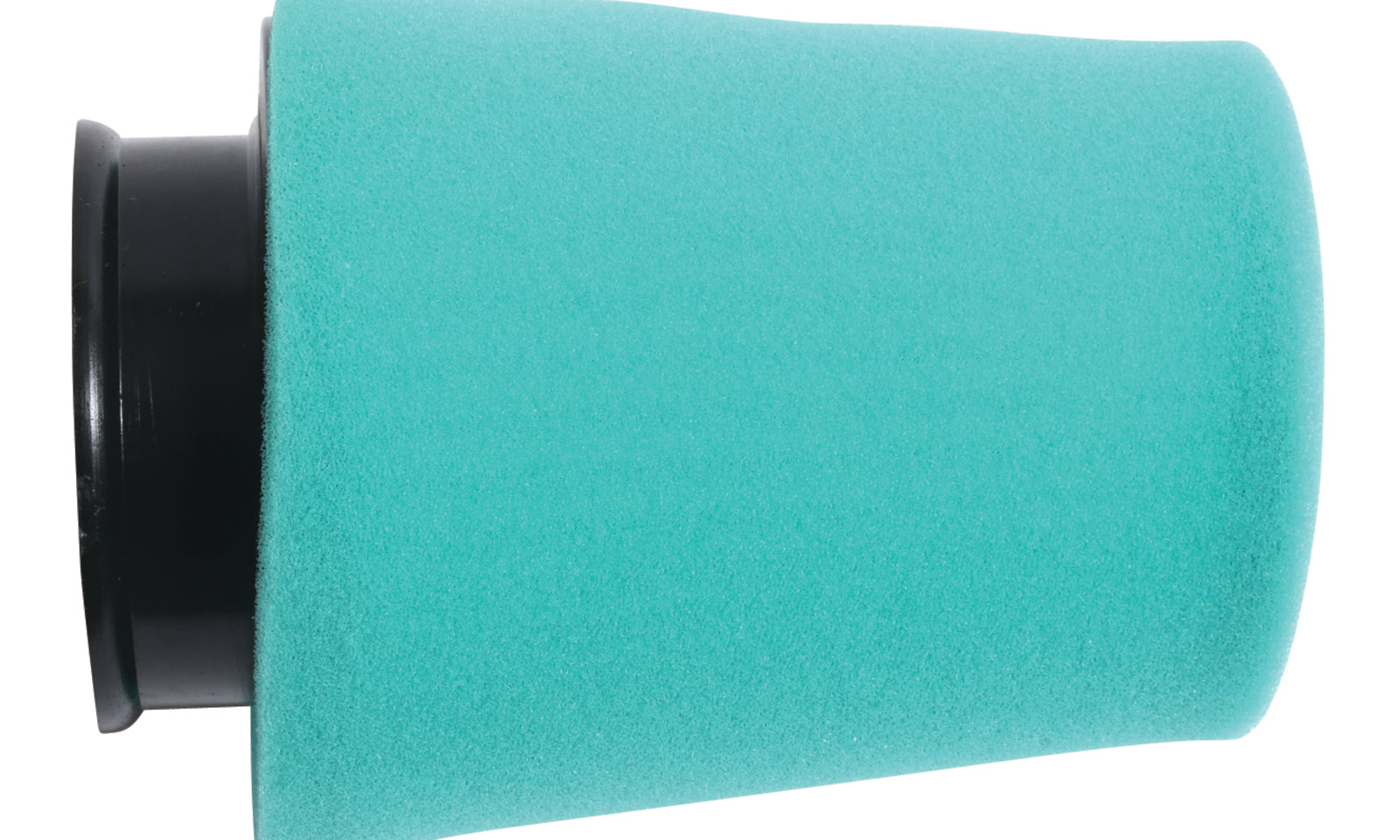 AB481019.JPG