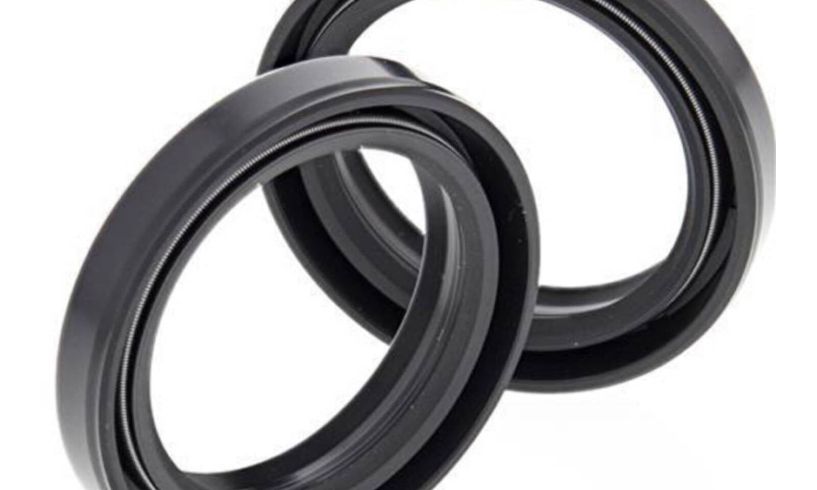 Fork Oil Seal Only Kit 55-163