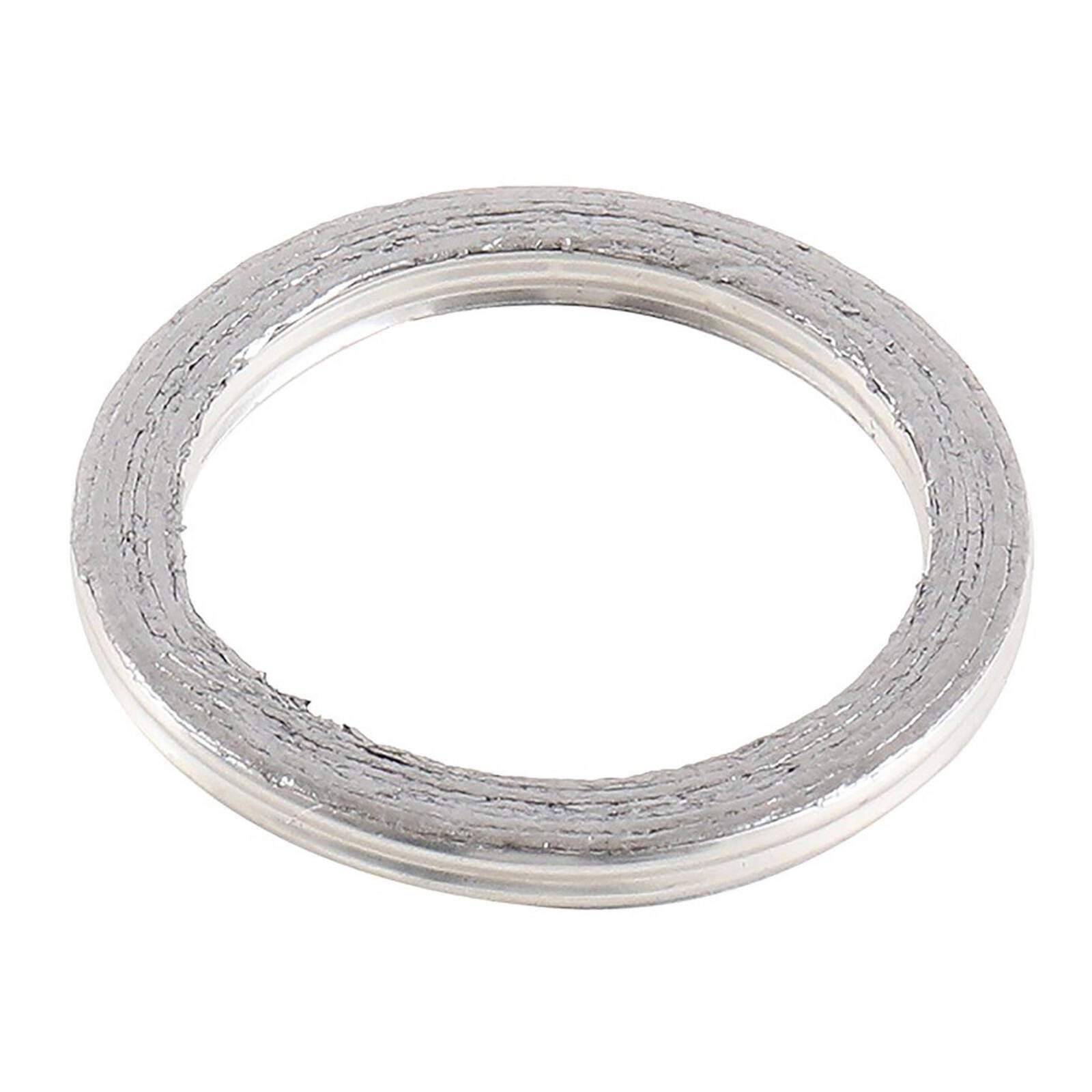 Exhaust Gasket Kit 823060