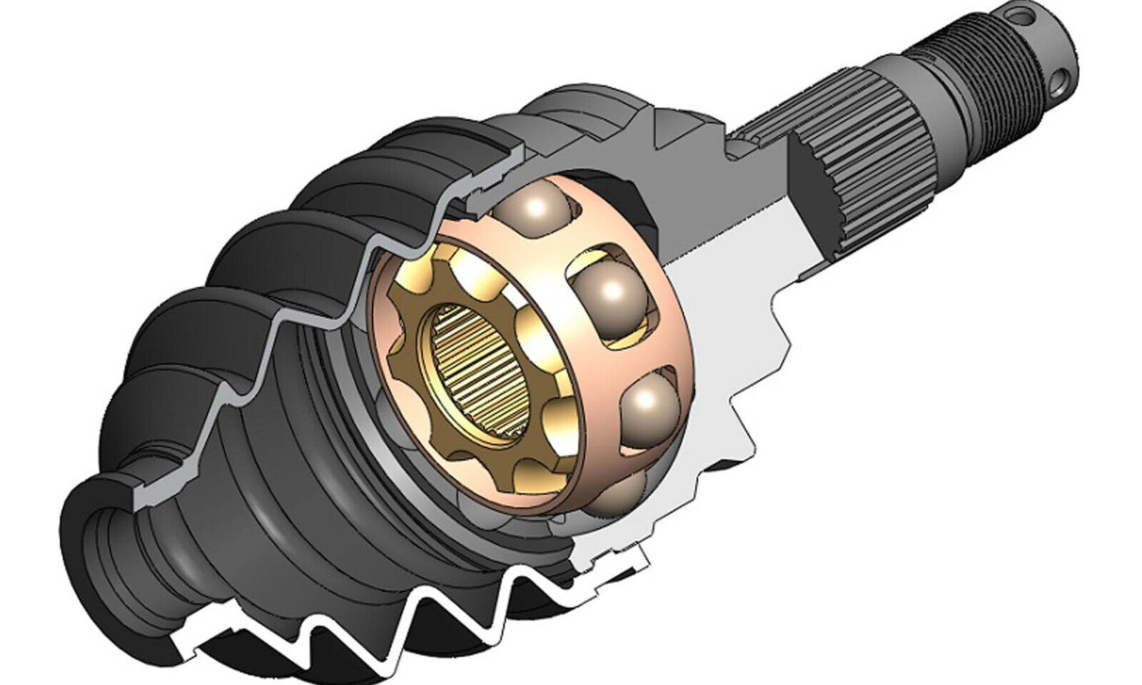 AB8PO8326.JPG