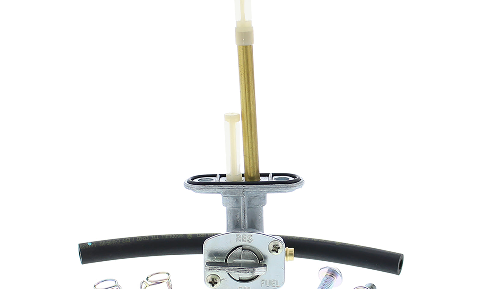 ABFS1010157.JPG