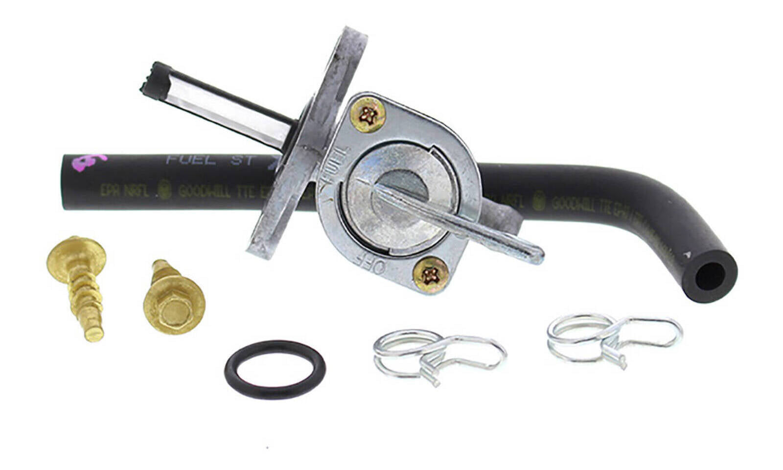 ABFS1010165.JPG