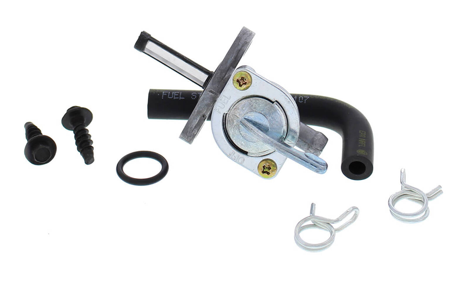 ABFS1010169.JPG