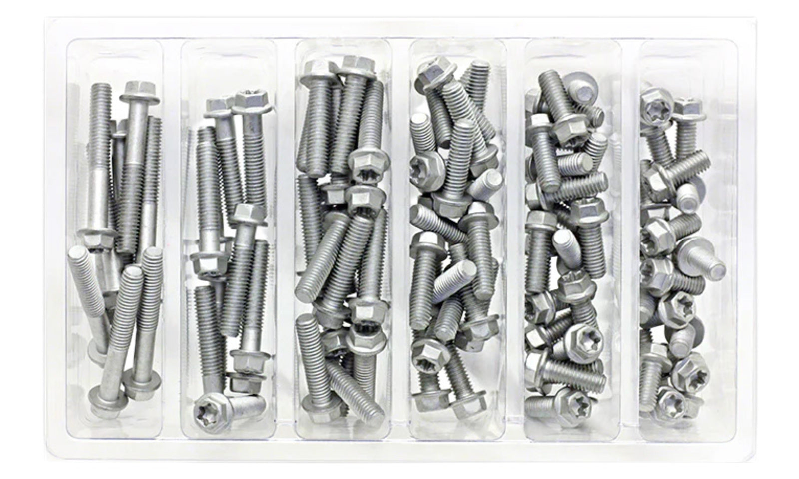 Bolt Workshop Service Kit: M6 Euro Torx Bolt