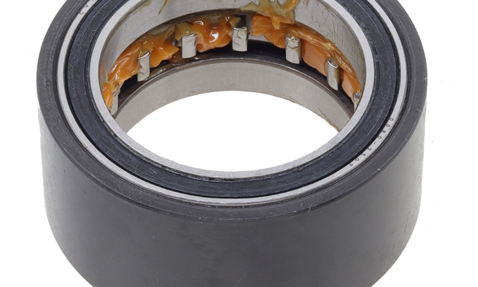 BRG41001.JPG