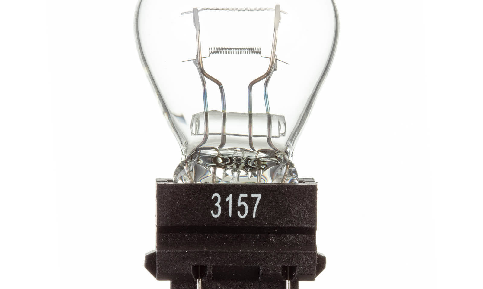 ELB1247557.JPG