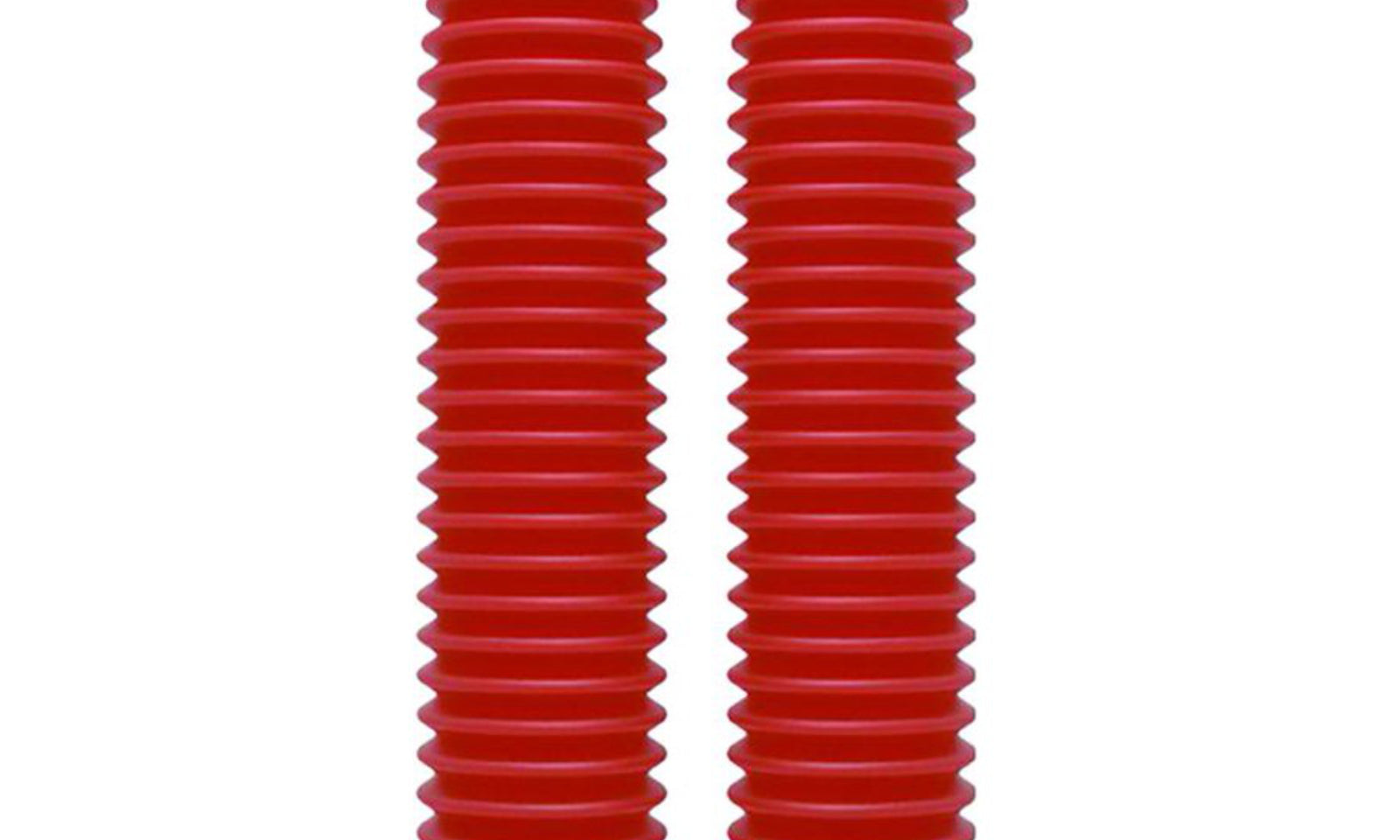 FBMOTOR.JPG
