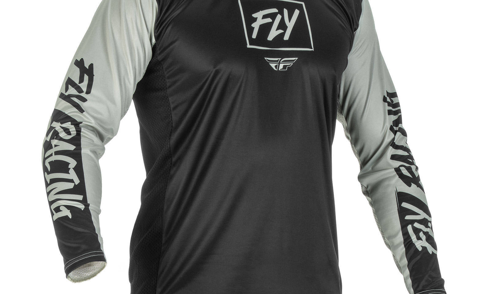 FLY375720S.JPG