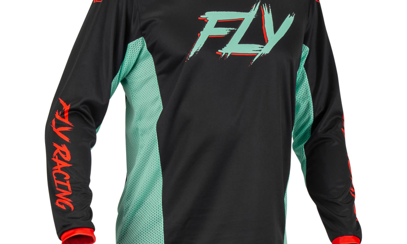 FLY376524X.JPG