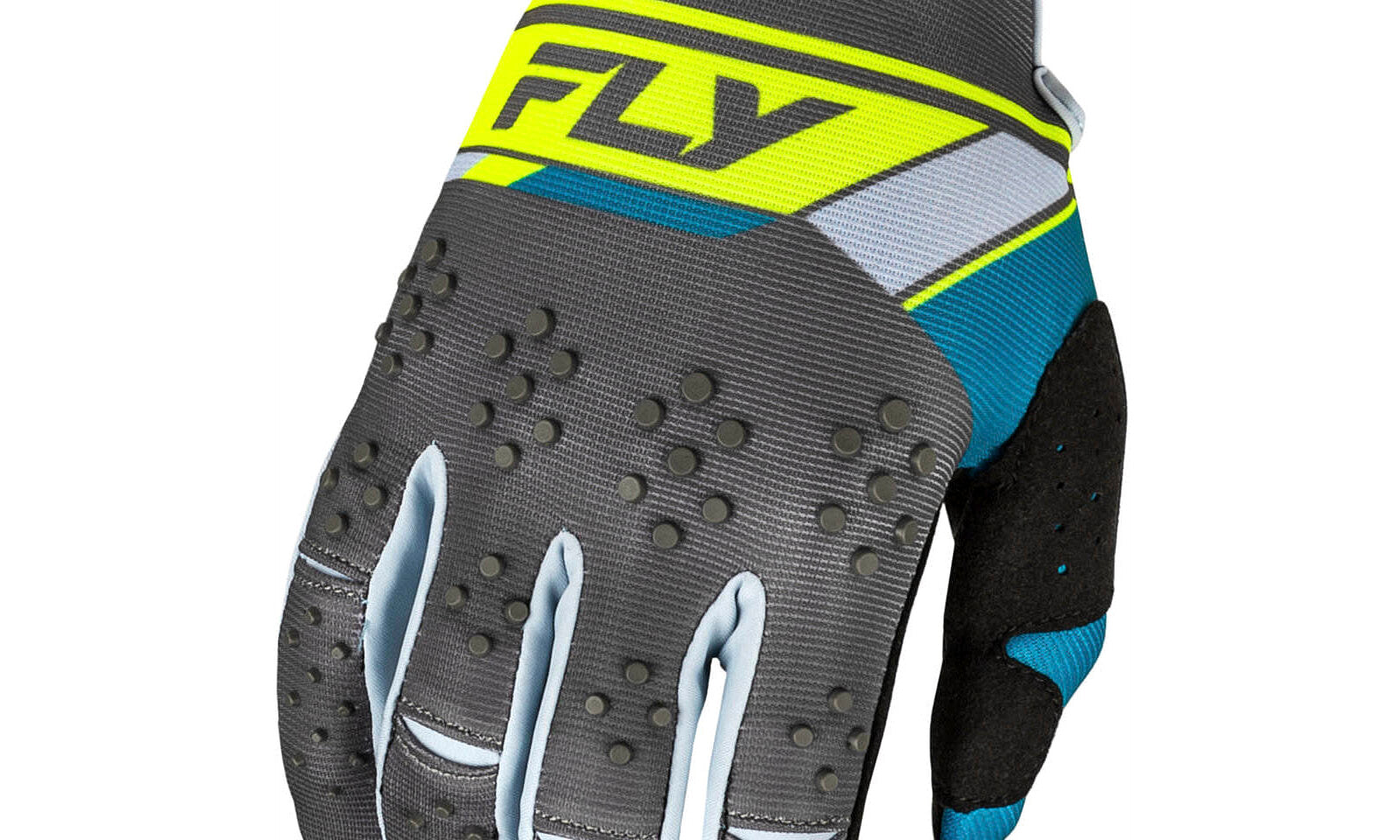 FLY377411M.JPG