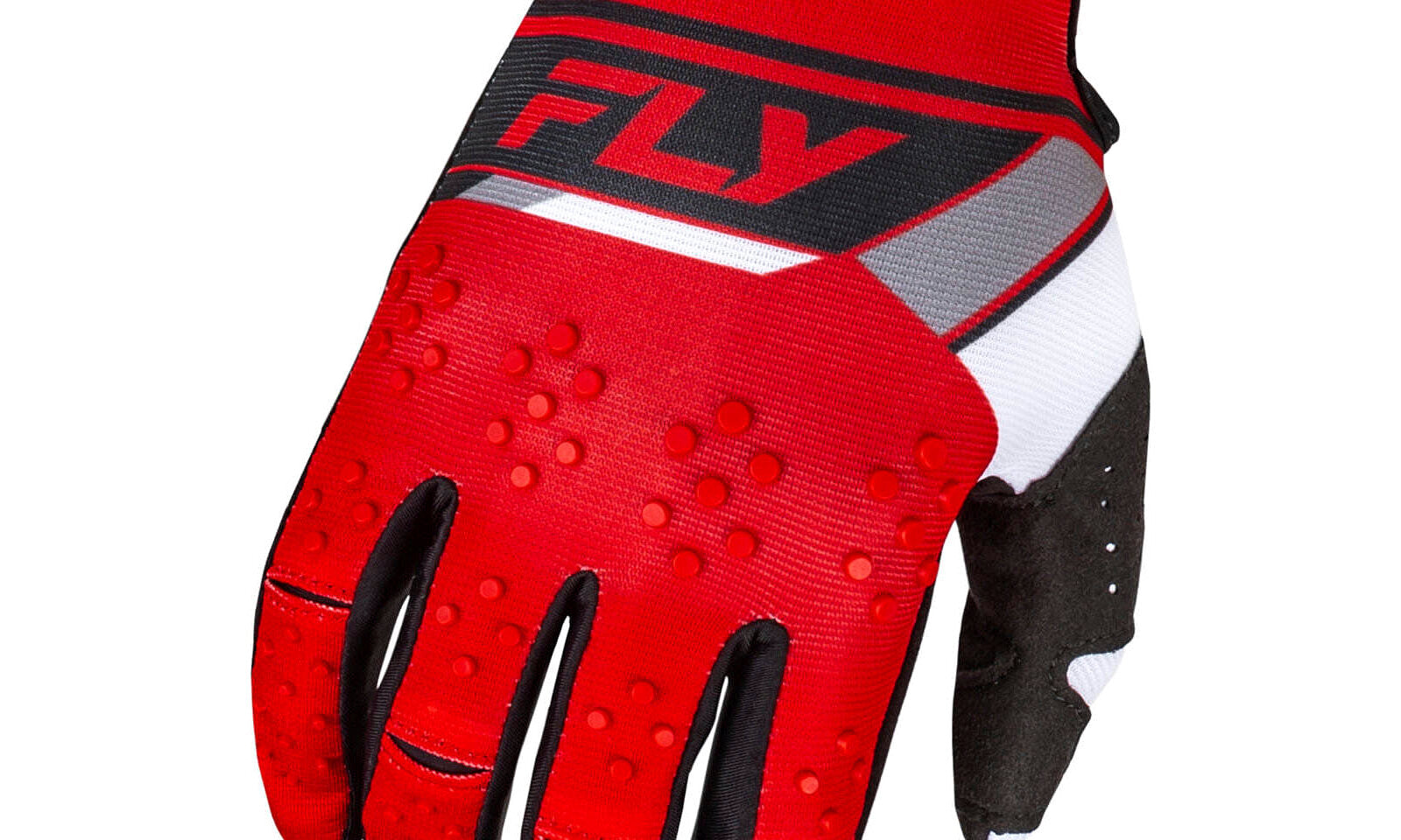 FLY377412L.JPG