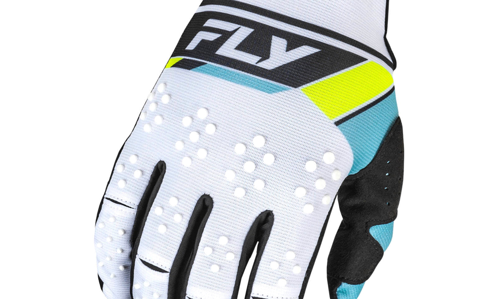 FLY377413M.JPG