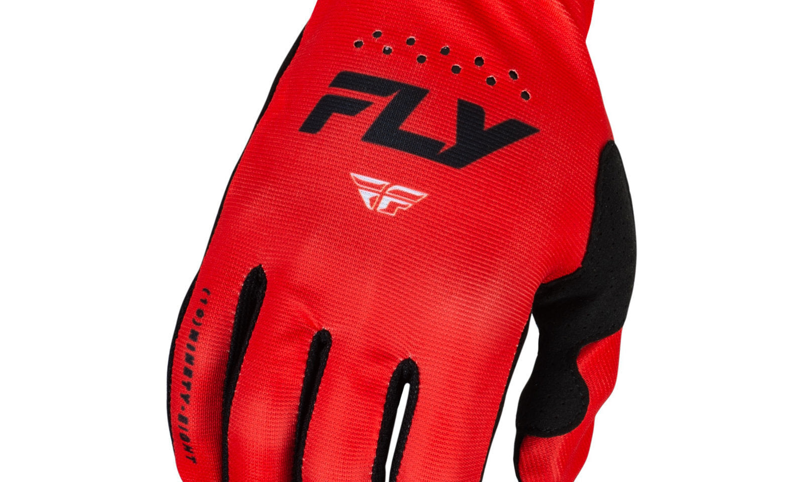 FLY377712X.JPG