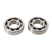 Main Bearing and Seal Kit