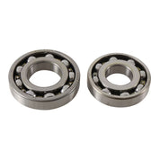 Main Bearing and Seal Kit