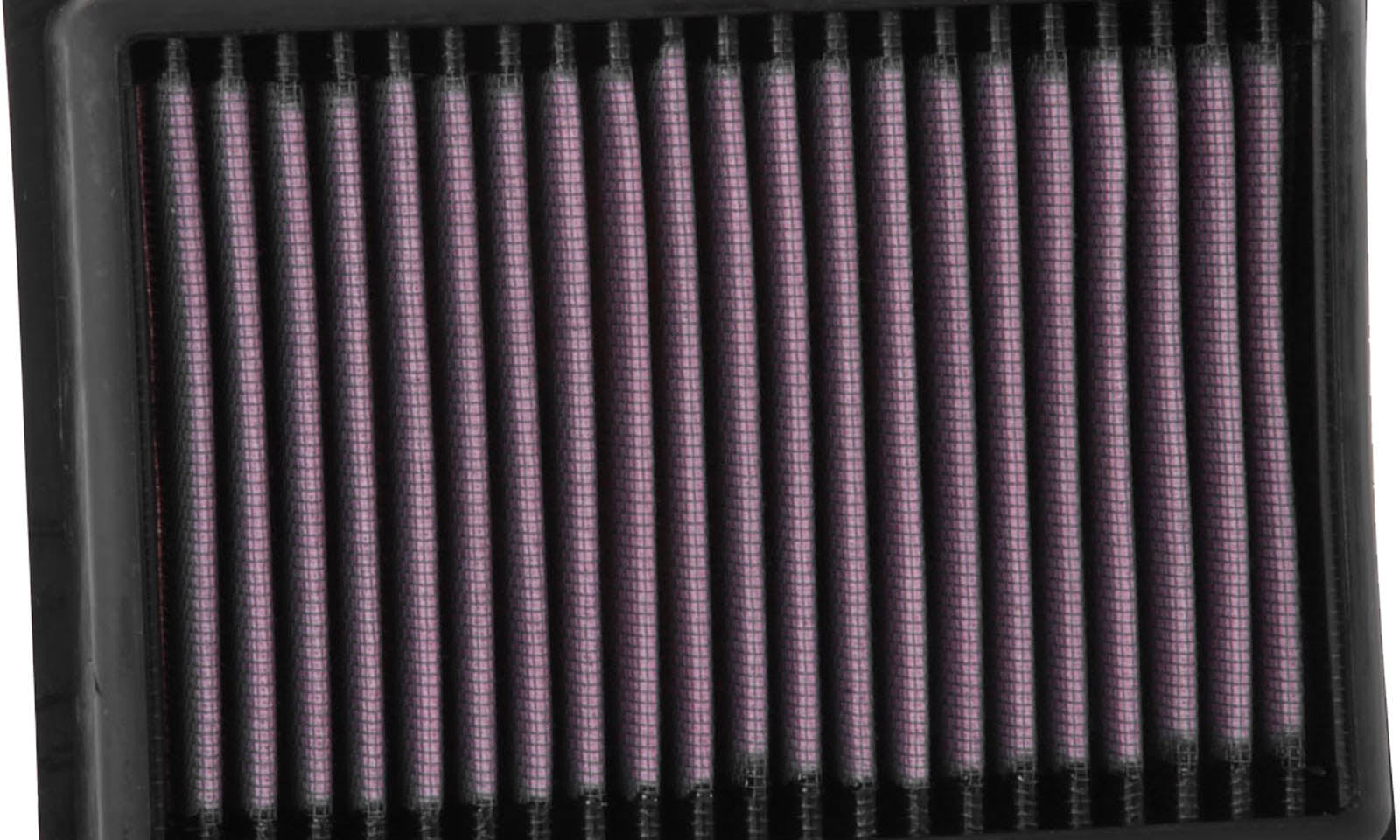 KNKT7918.JPG