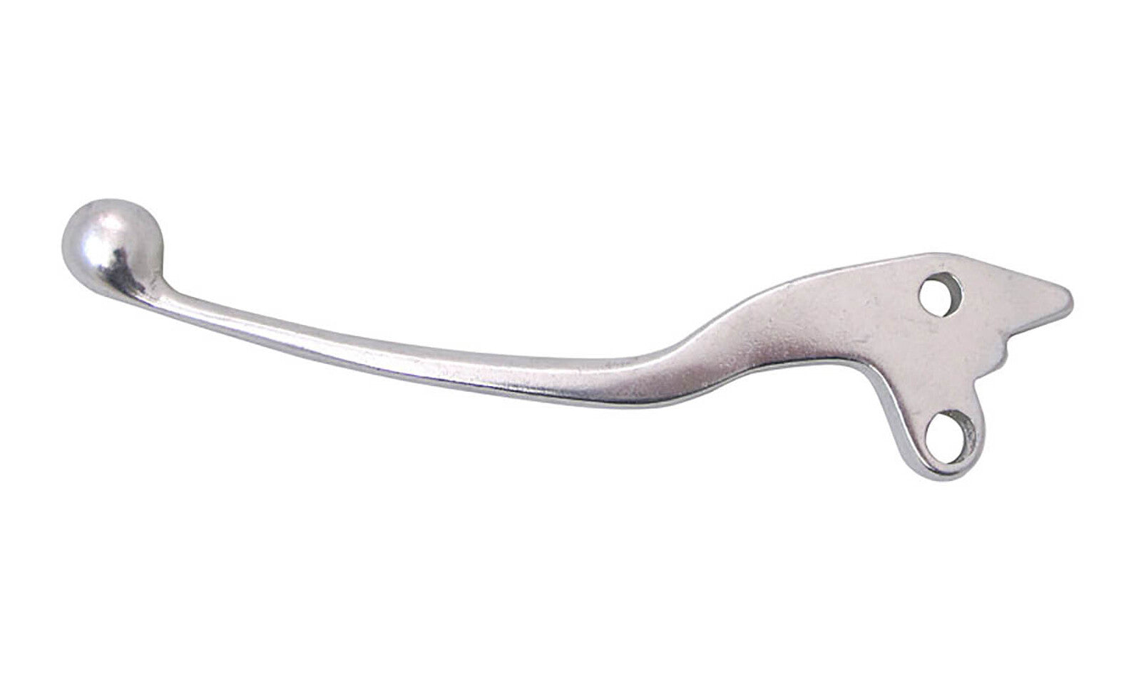 L5C38A.JPG