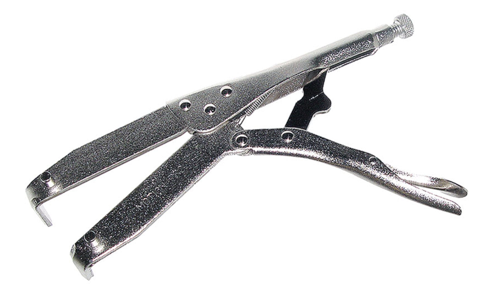 MP080008.JPG