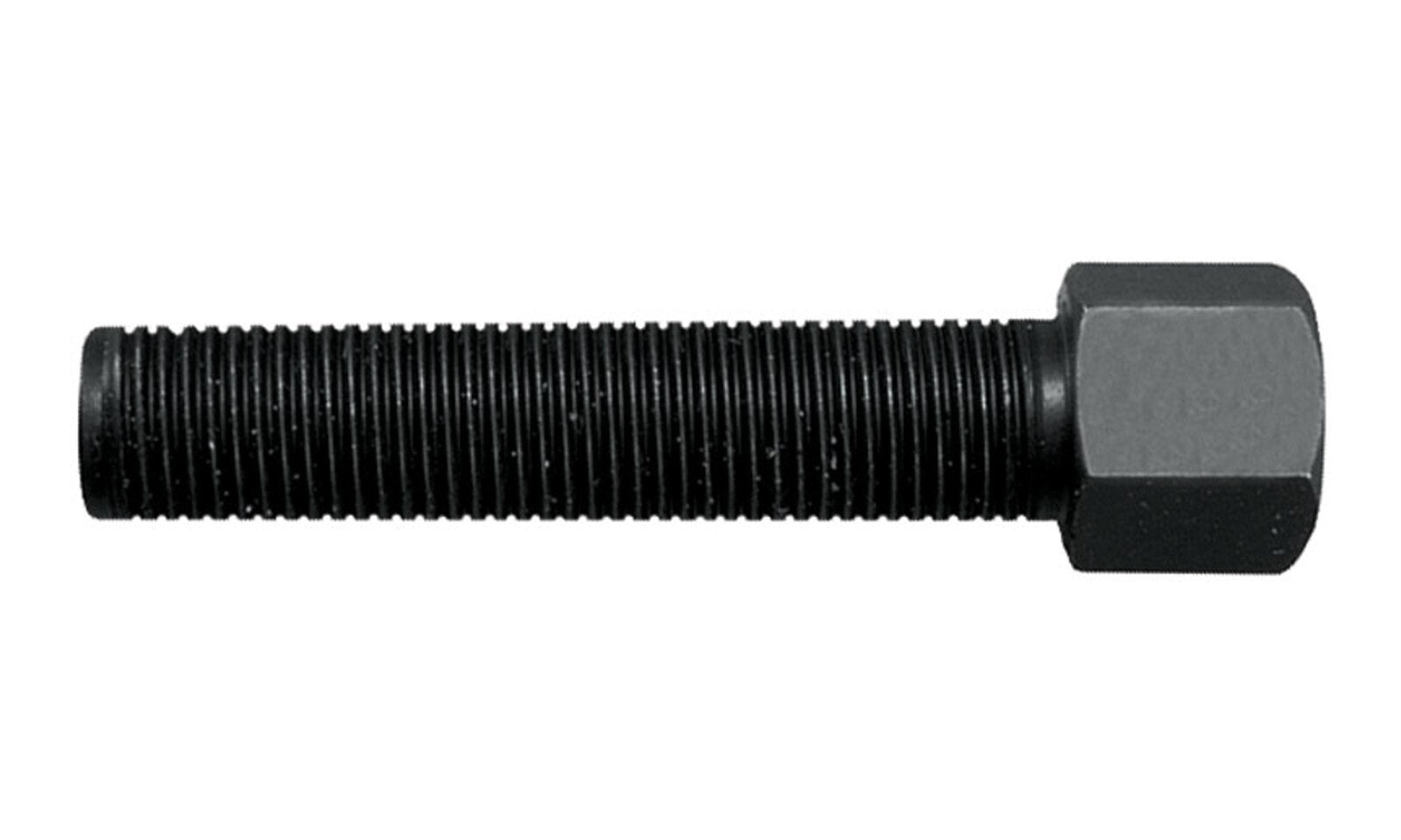 MP080027.JPG