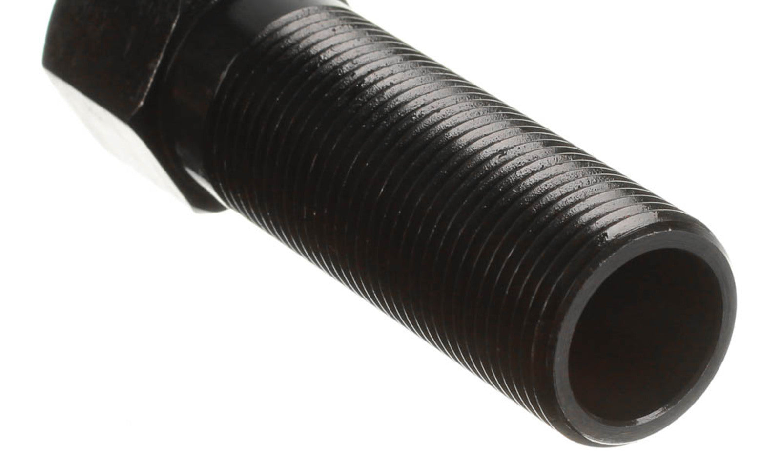 MP080086.JPG