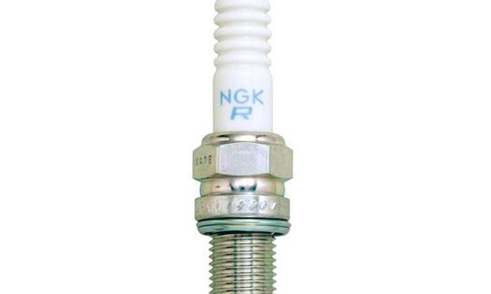NGKKR9CG.JPG