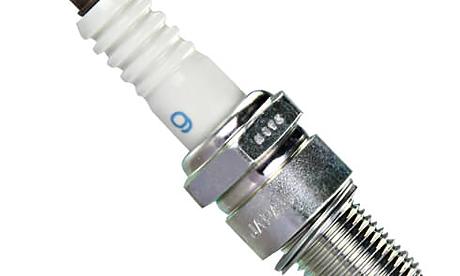 NGKR6918C9.JPG