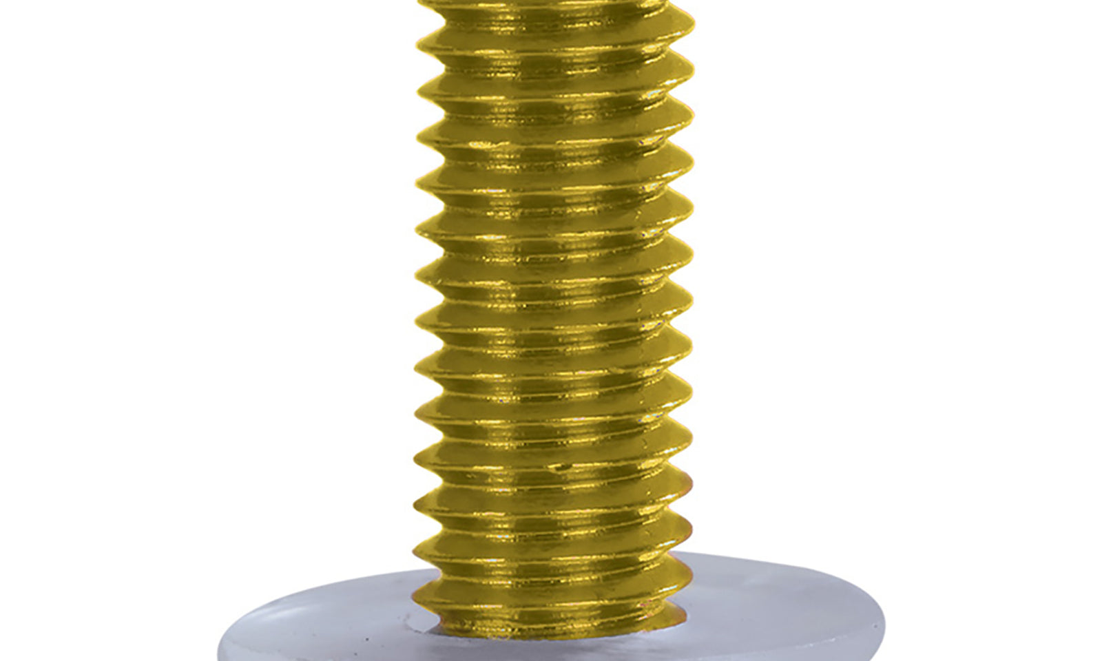 Oxford Screen Screws - Gold