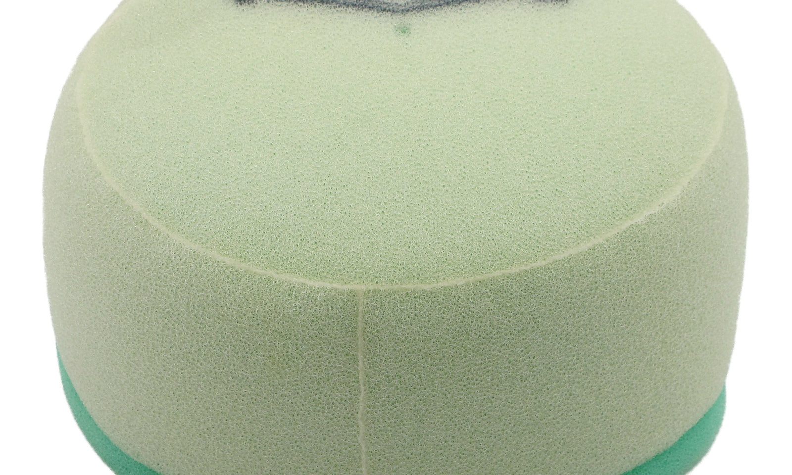 PUTAFKA1218.JPG