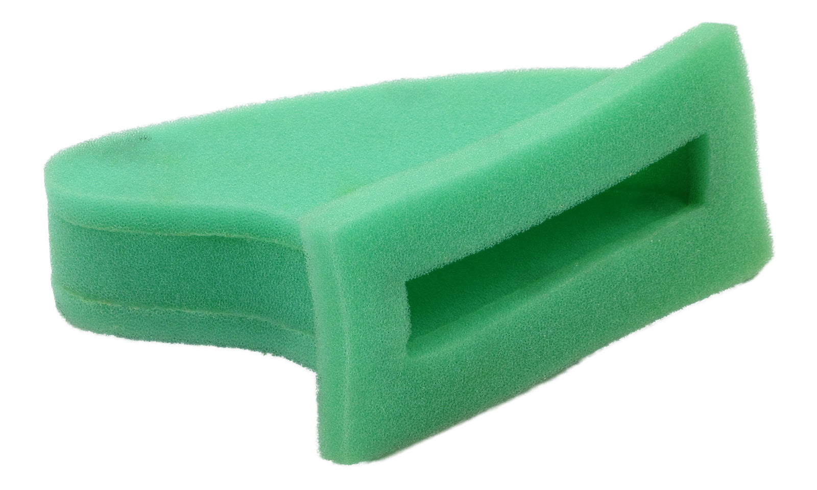 PUTAFSH6111.JPG