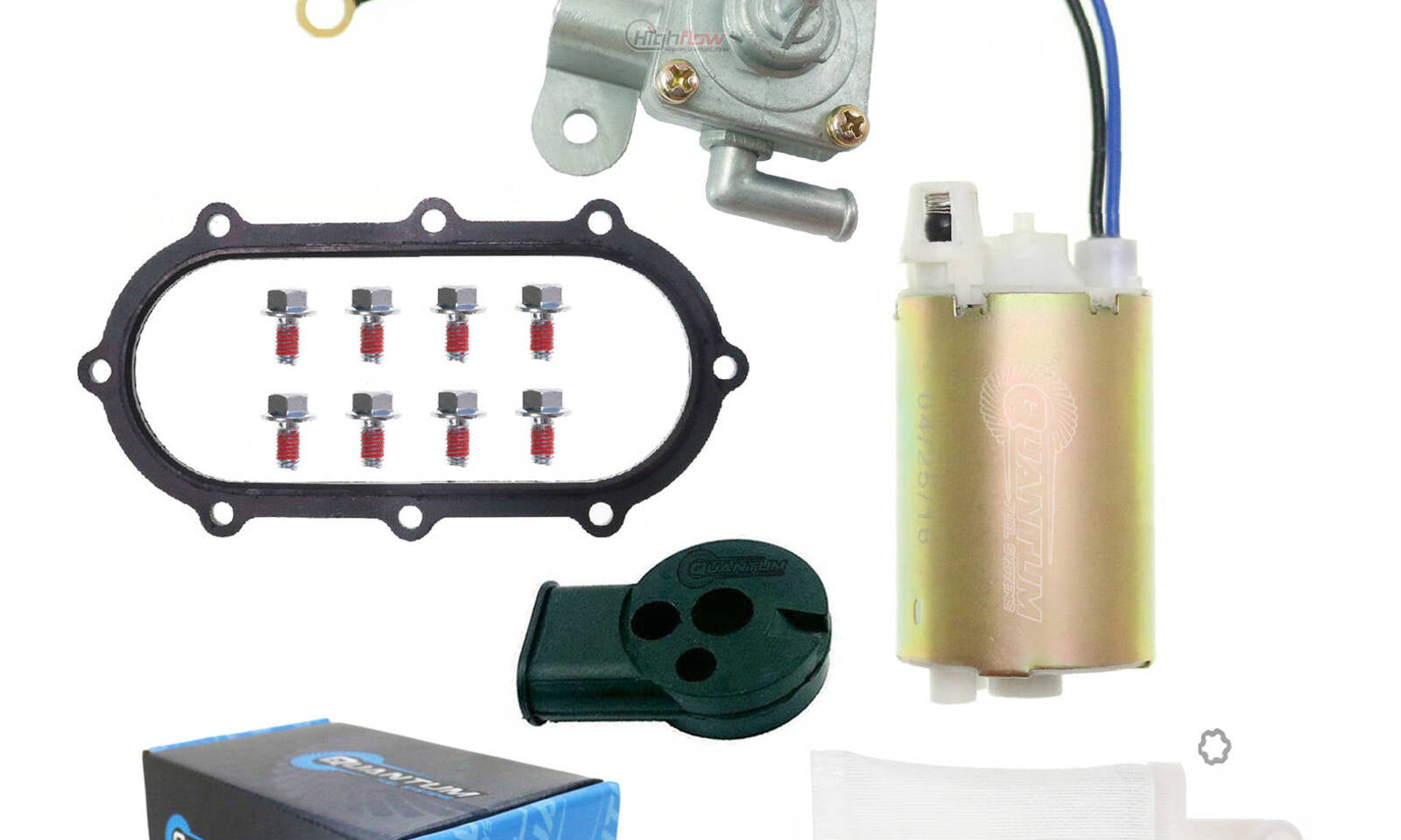 Quantum In-Tank Electric Fuel Pump with Tank Seal