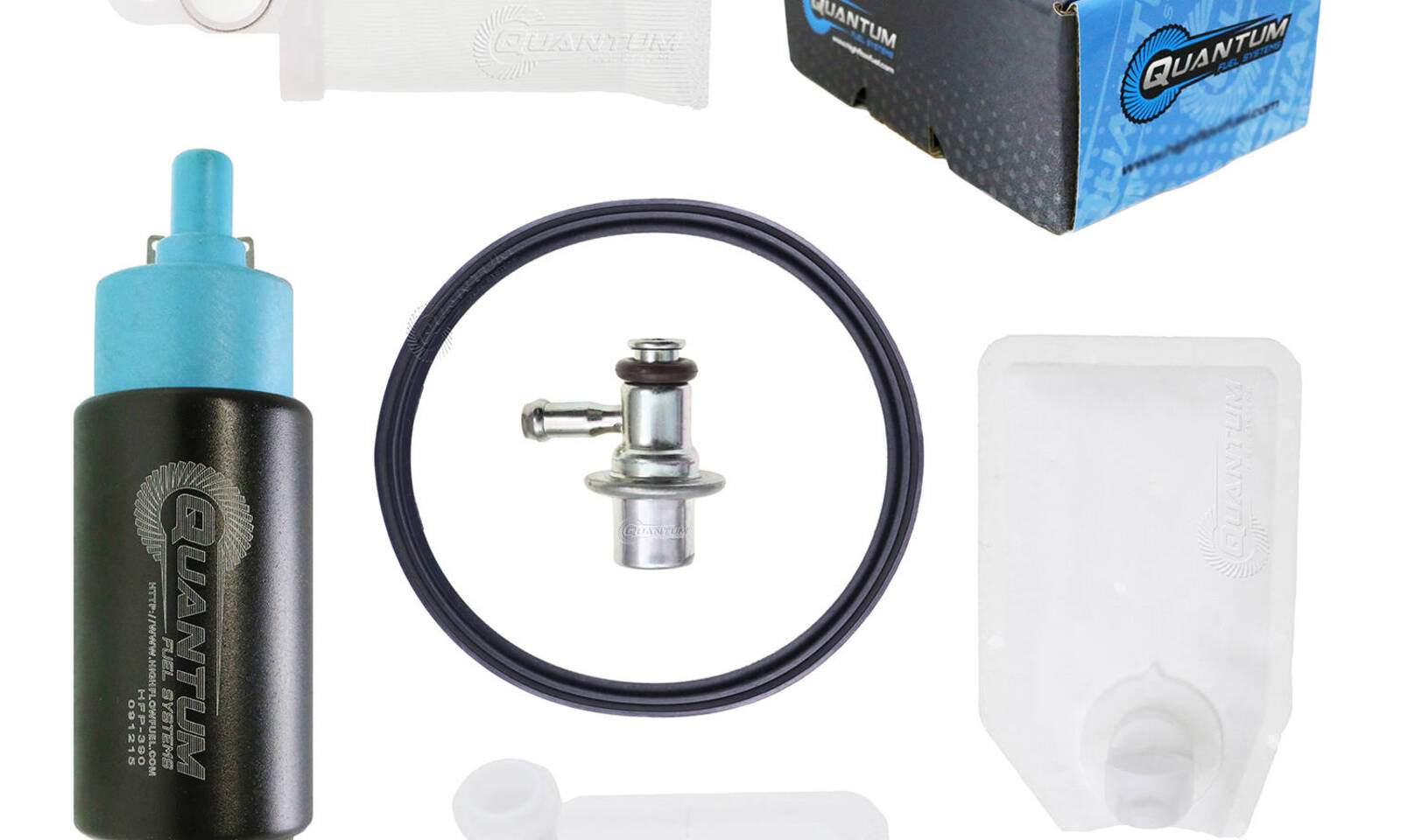 Quantum In-tank EFI Fuel Pump with Regulator, Tank Seal
