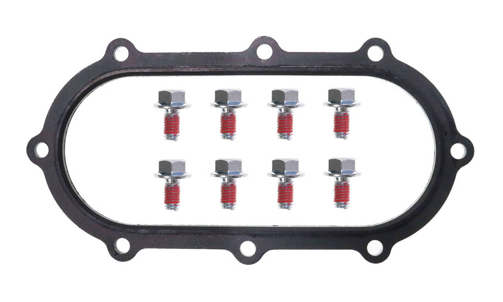 Quantum Fuel Pump Seal Gasket