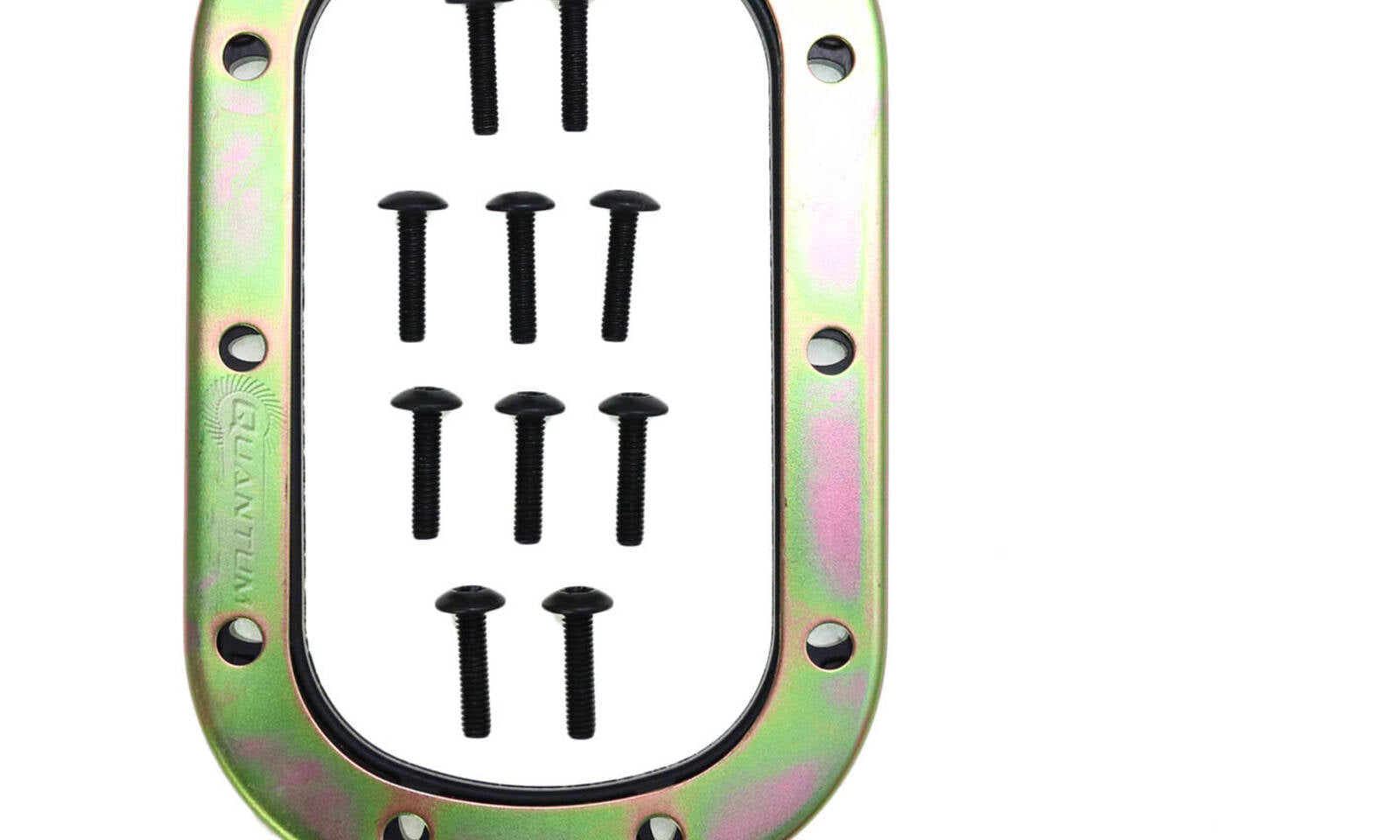 Quantum Fuel Pump Seal Gasket