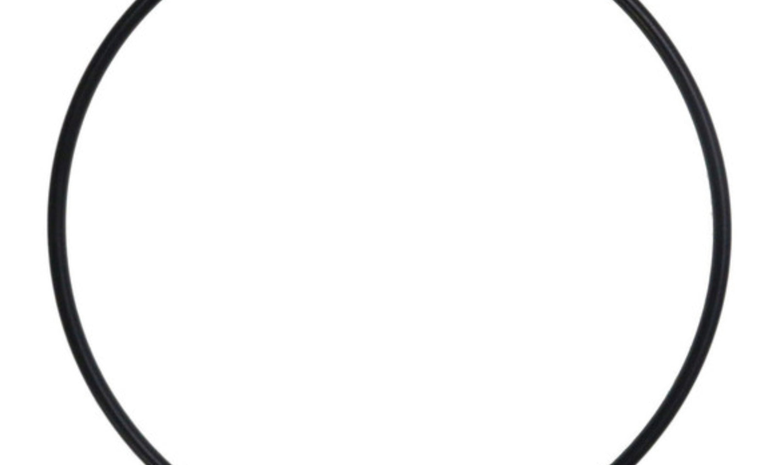 Quantum Fuel Pump Seal Gasket