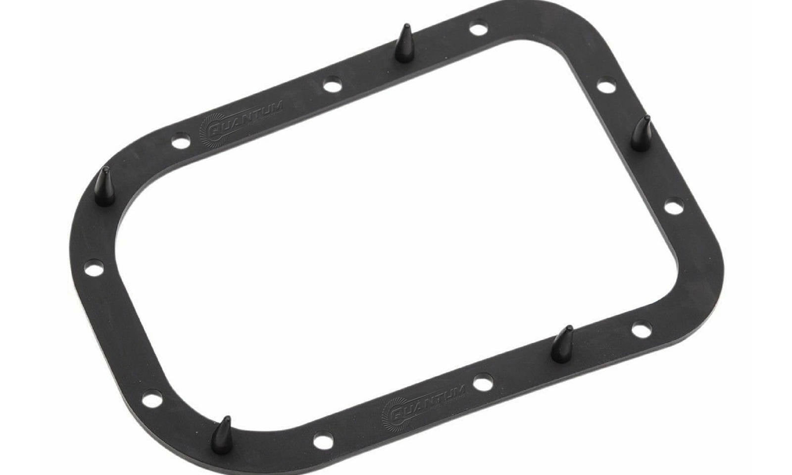 Quantum Fuel Pump Seal Gasket