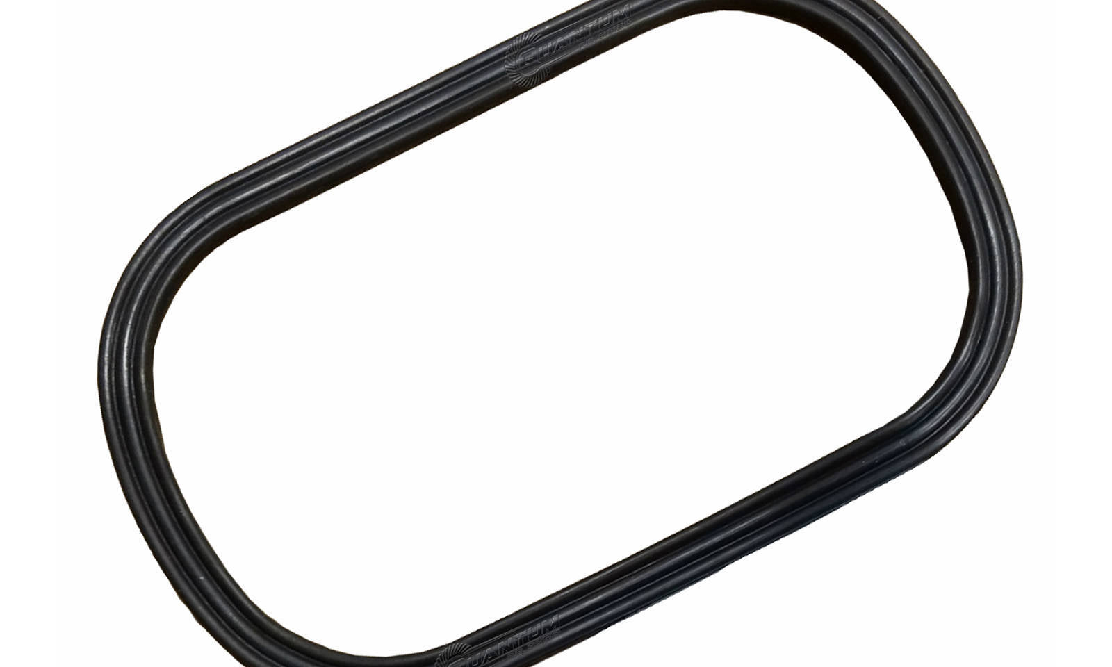 Quantum Fuel Pump Tank Seal Gasket
