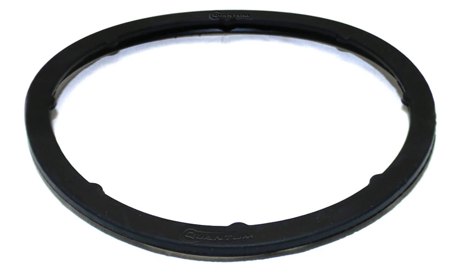 Quantum Fuel Pump Seal Gasket