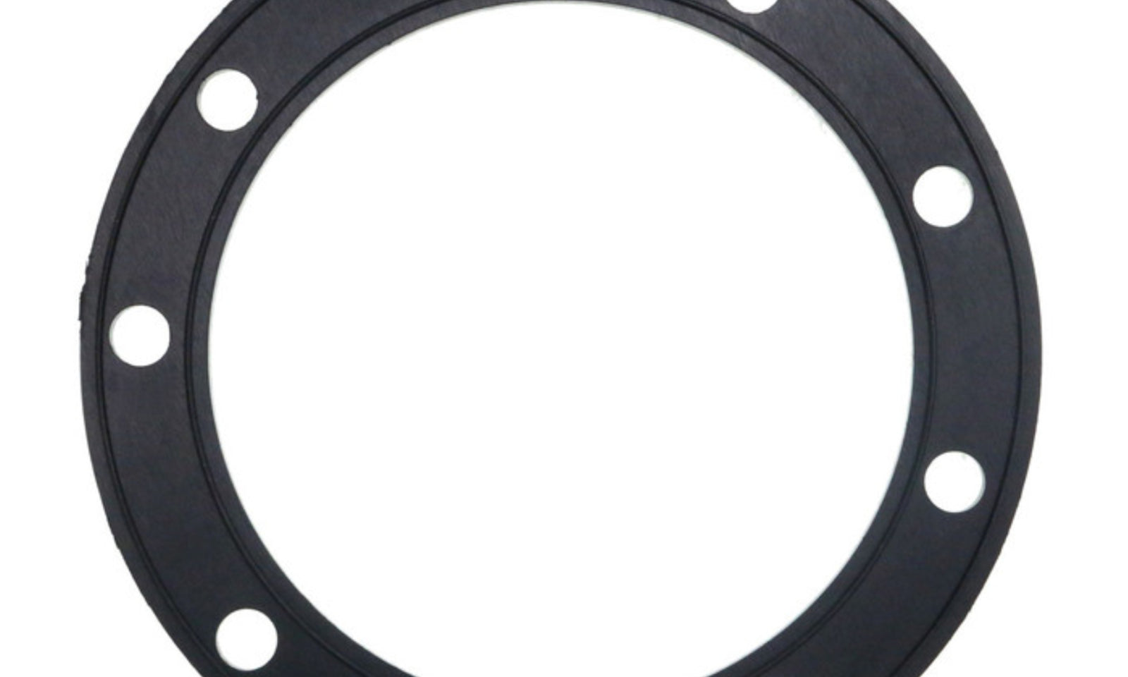 Quantum Fuel Pump Seal Gasket