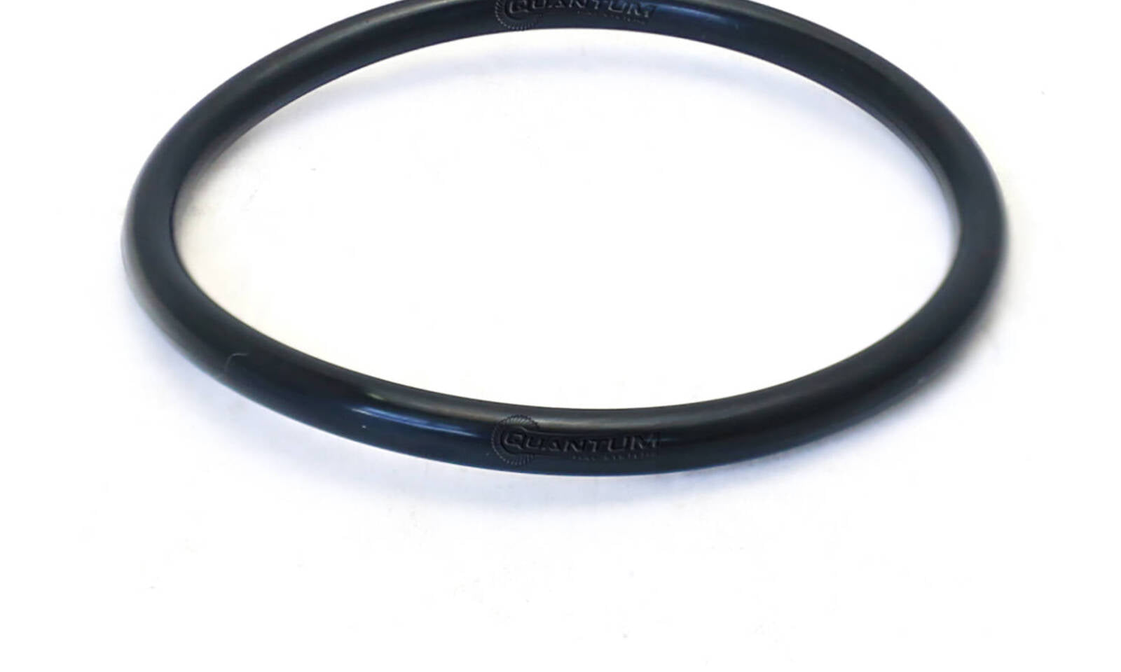 Quantum Fuel Pump Seal Gasket