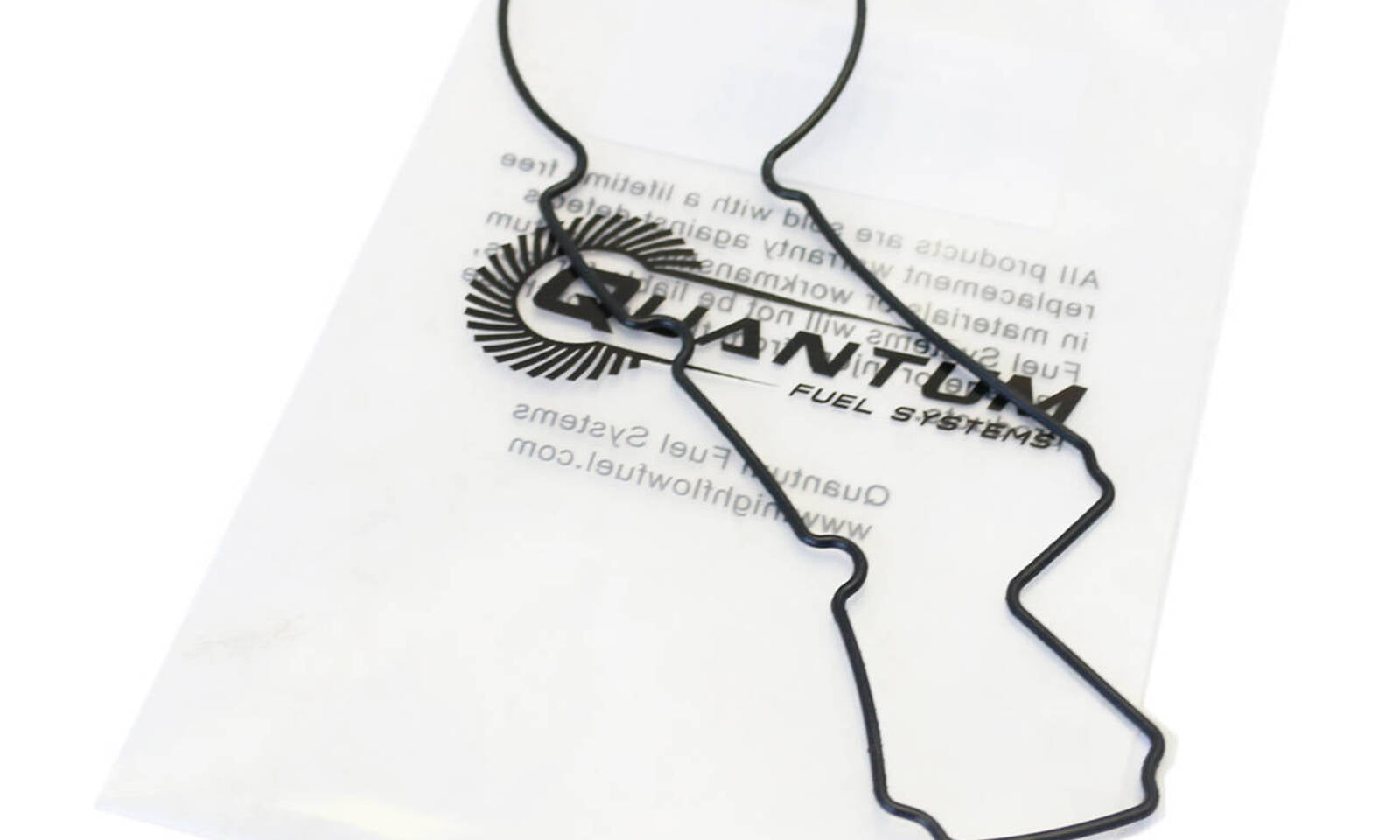 Quantum Fuel Pump Tank Seal Gasket