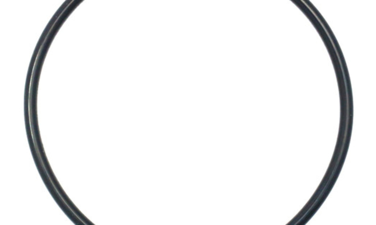 Quantum Fuel Pump Seal Gasket