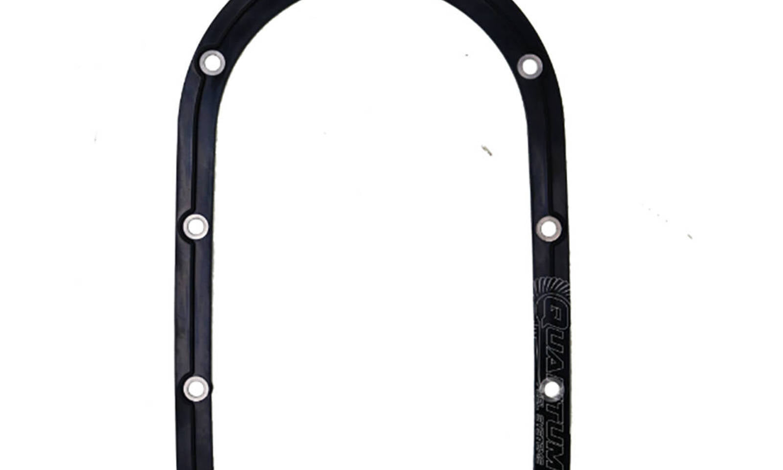 Quantum Fuel Pump Seal Gasket