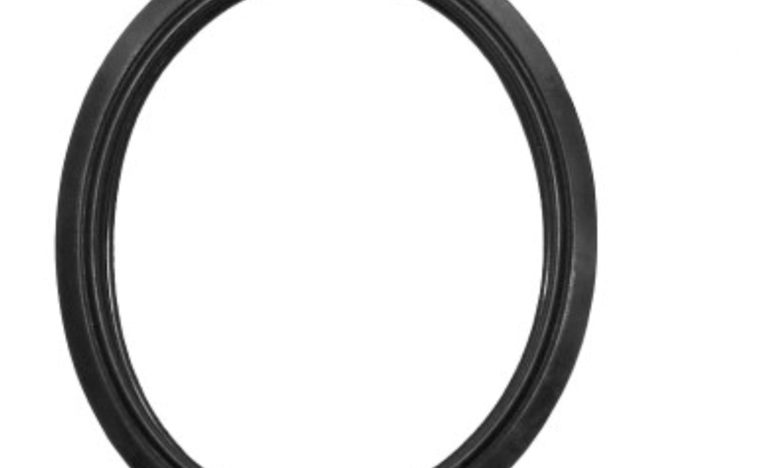 Quantum Fuel Pump Seal Gasket
