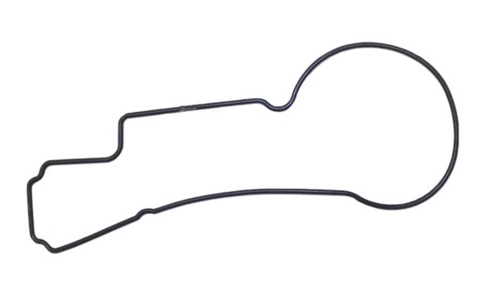 Quantum Fuel Pump Seal Gasket