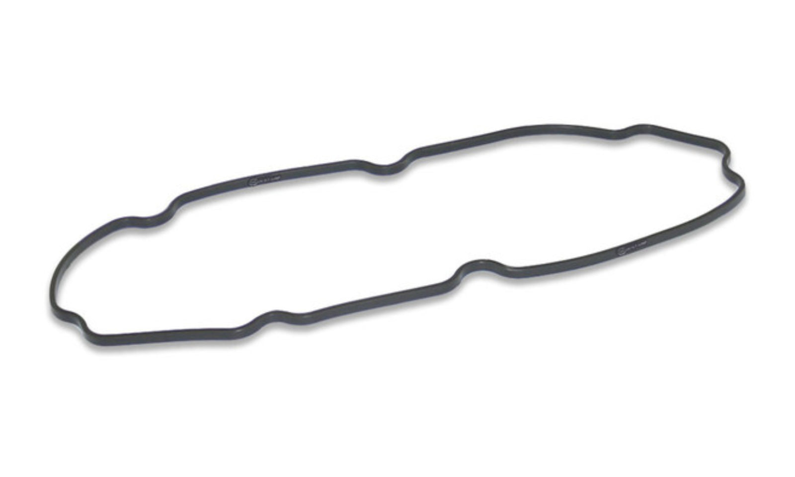 Quantum Fuel Pump Seal Gasket